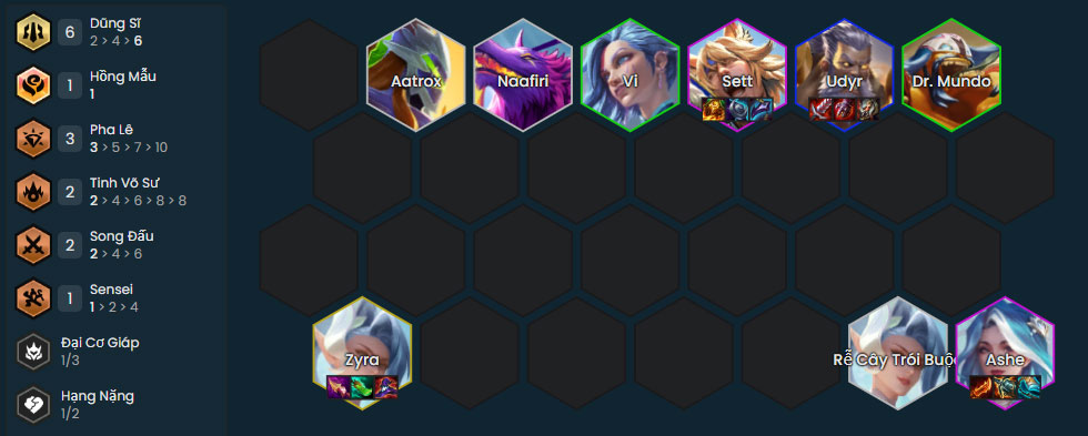 Đội hình Ashe Dũng Sĩ